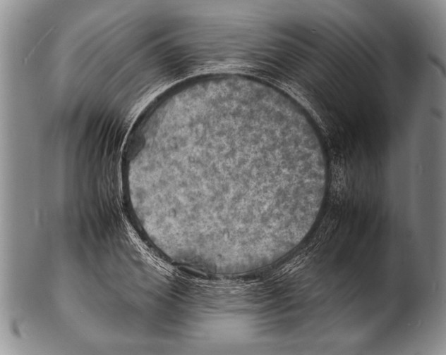 X0000100310980200806261158