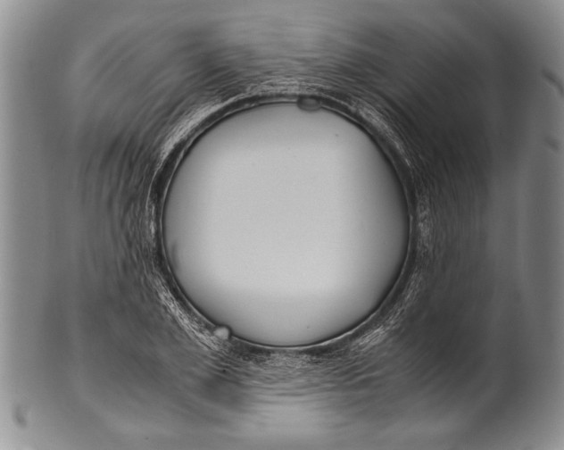 X0000100310981200806261158