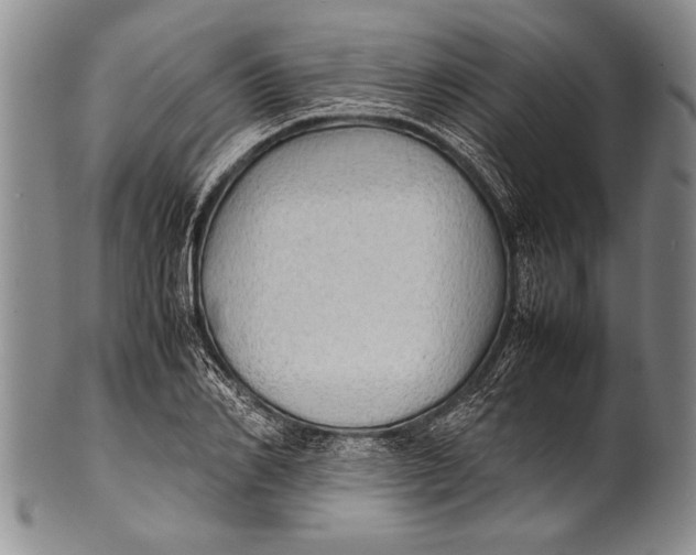 X0000100310982200806261158