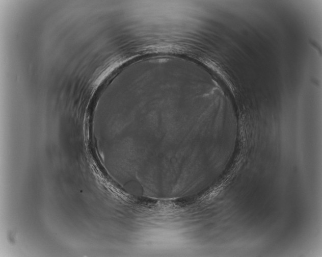 X0000100310983200806261158