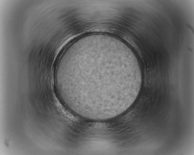 X0000100310984200806261158