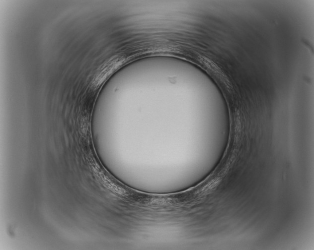 X0000100310985200806261158