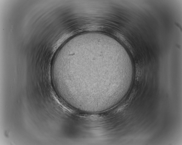 X0000100310986200806261158