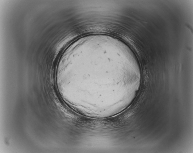 X0000100310987200806261158