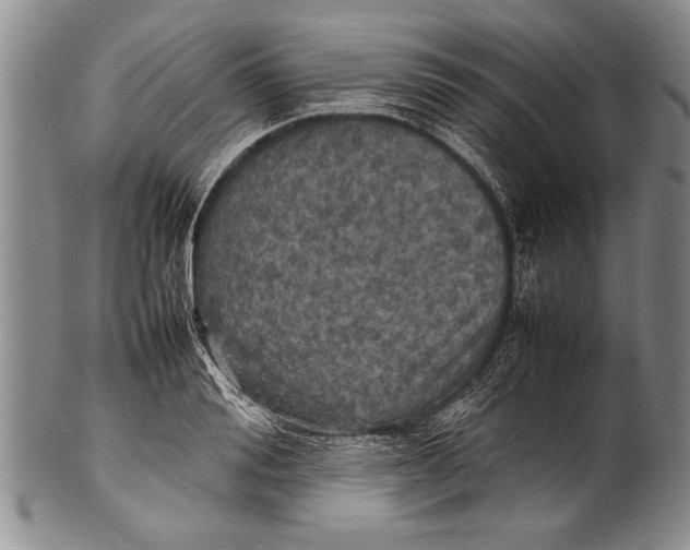 X0000100310988200806261158