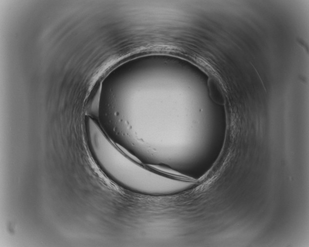 X0000100310989200806261158