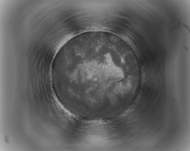 X0000100310990200806261158