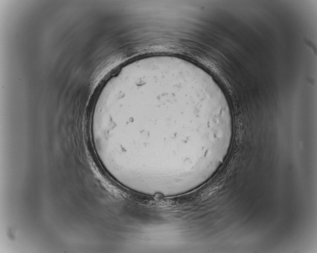 X0000100310991200806261158