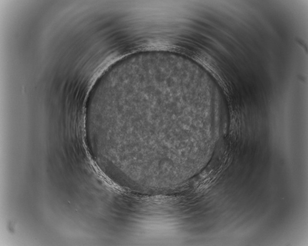 X0000100310992200806261158