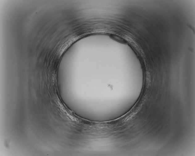 X0000100310993200806261158