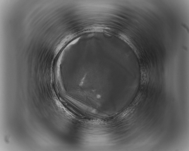 X0000100310994200806261158