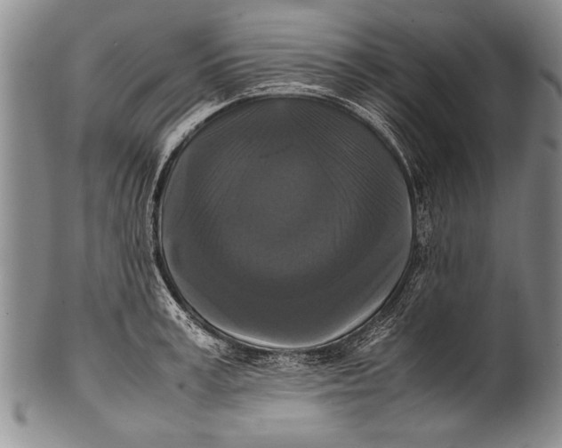 X0000100310995200806261158