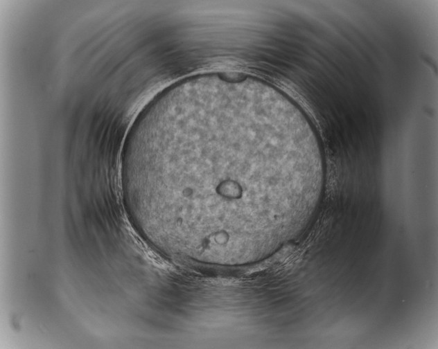 X0000100310996200806261158