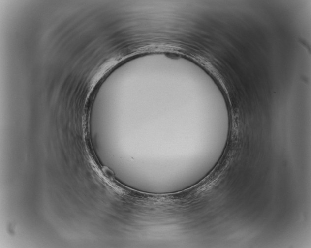 X0000100310997200806261158