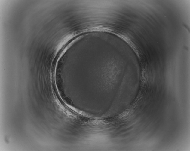 X0000100310998200806261158