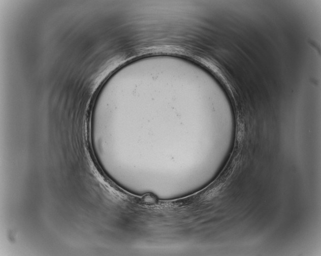 X0000100310999200806261158