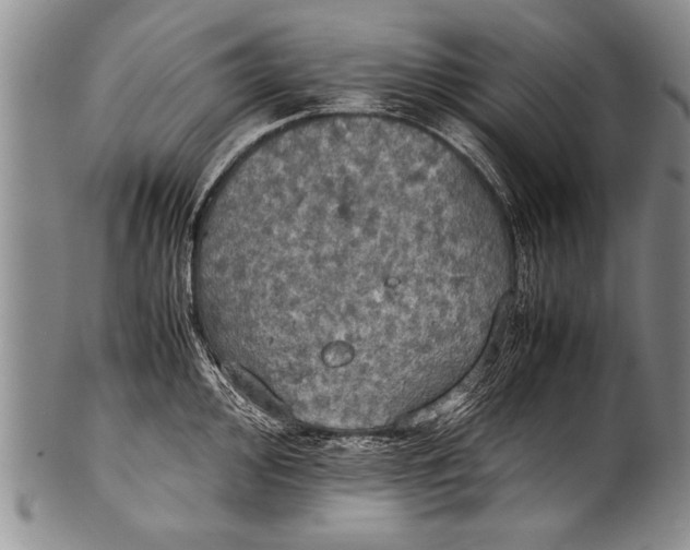 X0000100311000200806261158