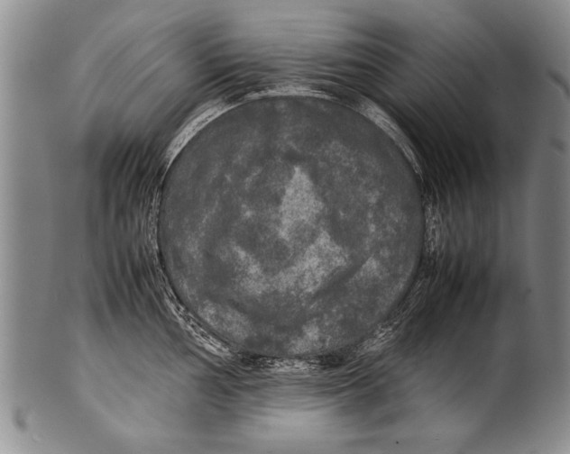 X0000100311002200806261158