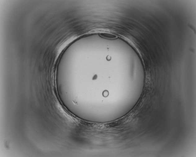 X0000100311003200806261158