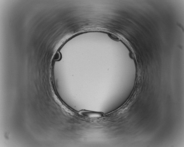 X0000100311005200806261158