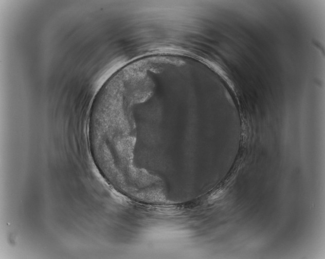 X0000100311007200806261158