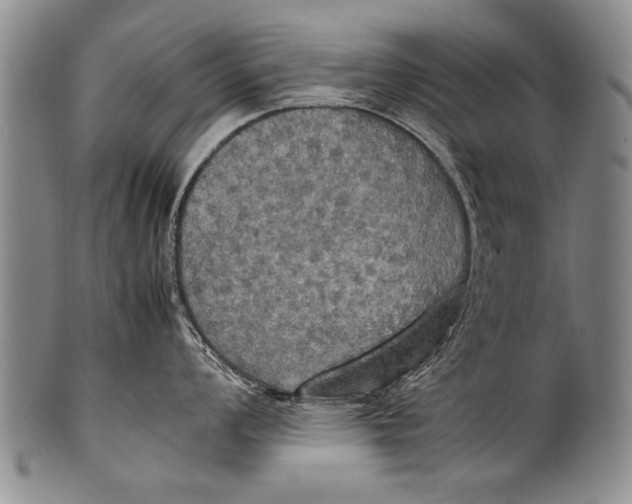 X0000100311008200806261158