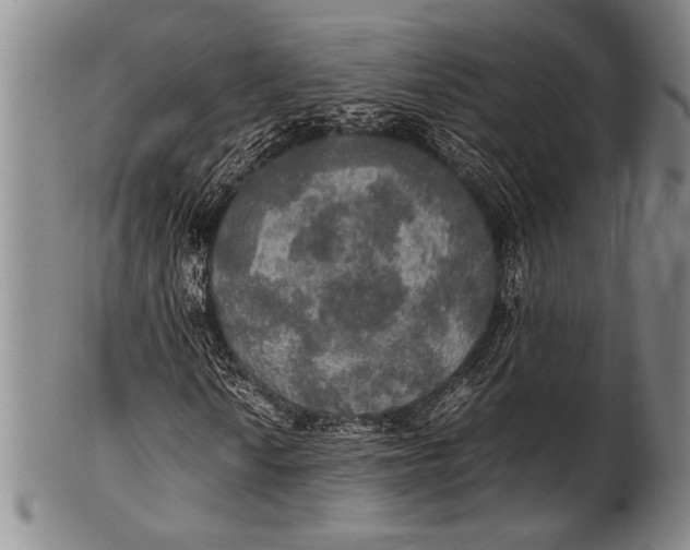 X0000100311010200806261157