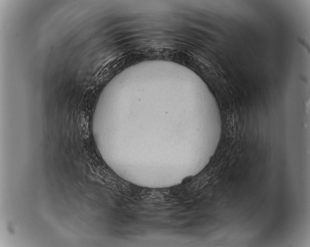 X0000100311013200806261157