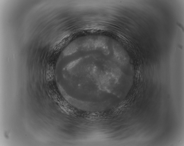 X0000100311014200806261157