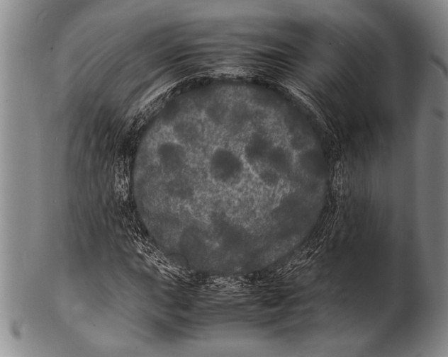 X0000100311015200806261157