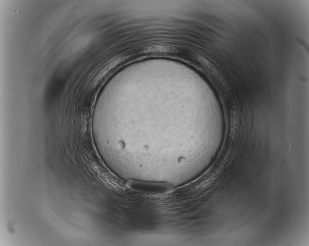 X0000100311017200806261157