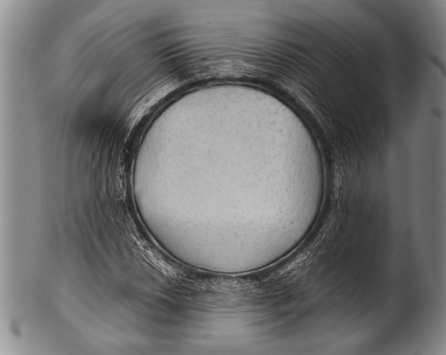 X0000100311018200806261157