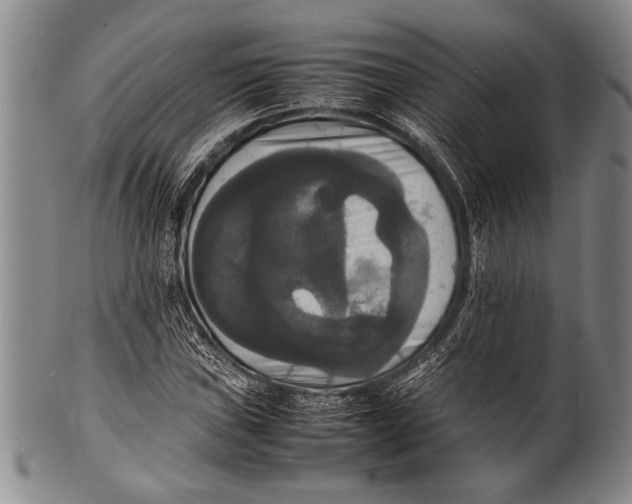 X0000100311019200806261157