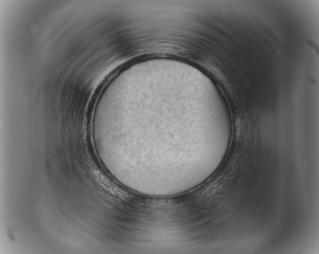 X0000100311020200806261157