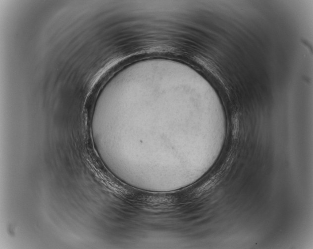 X0000100311021200806261157