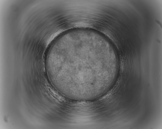 X0000100311022200806261157