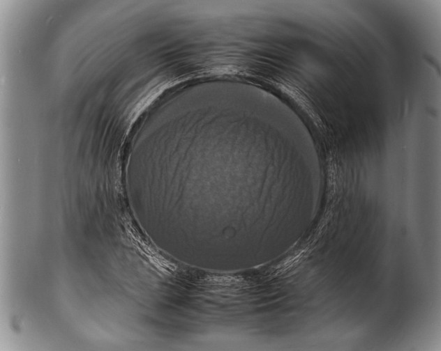 X0000100311023200806261157