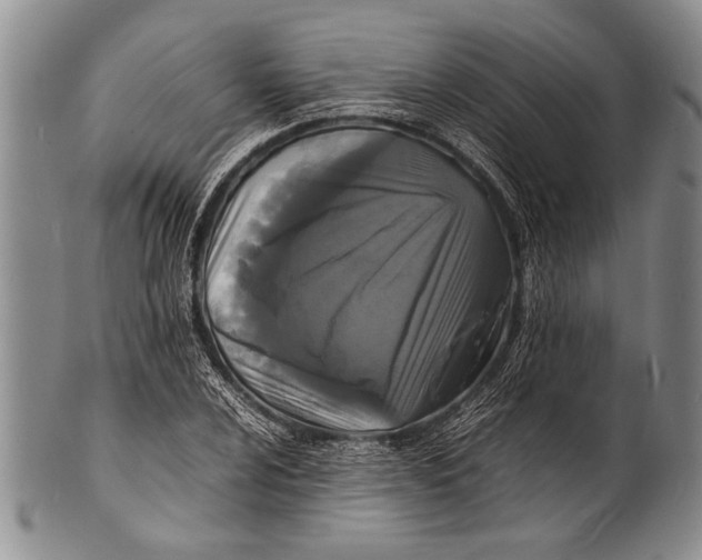 X0000100311024200806261157