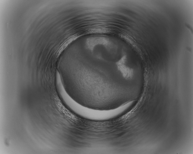 X0000100311025200806261157