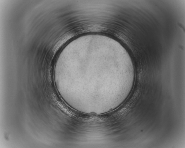 X0000100311026200806261157