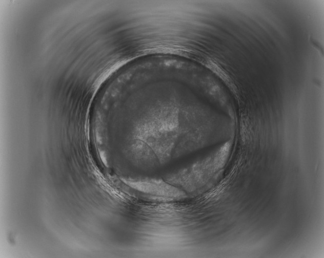 X0000100311028200806261157