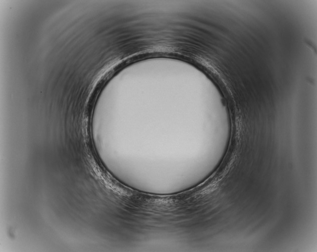 X0000100311029200806261157