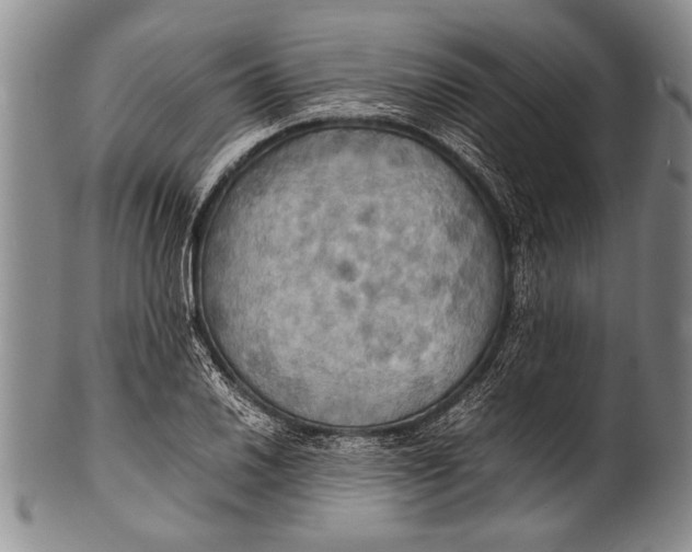 X0000100311030200806261157