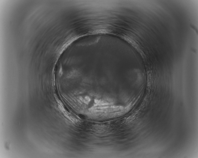 X0000100311031200806261157