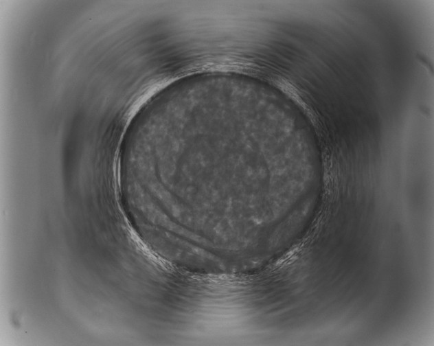 X0000100311032200806261157