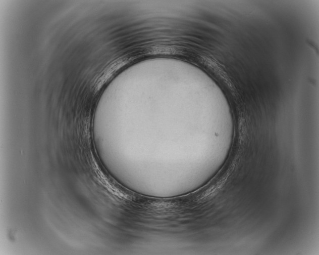 X0000100311033200806261157