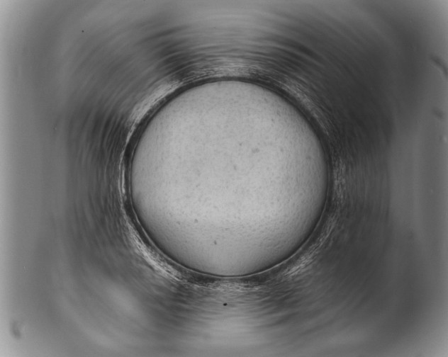 X0000100311034200806261157