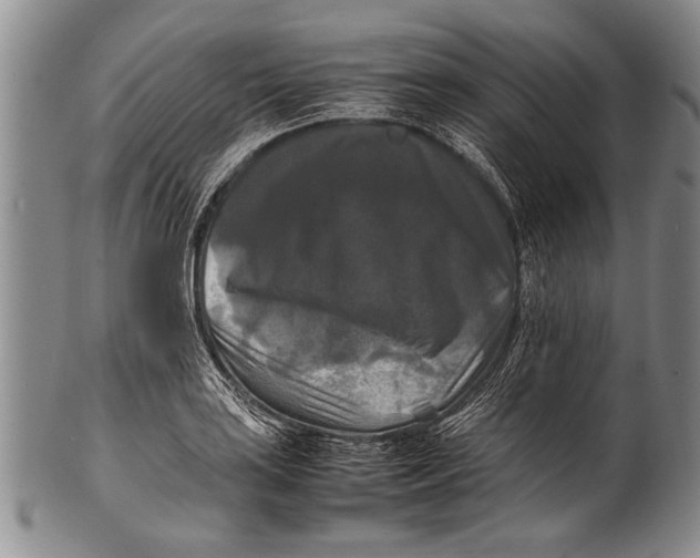 X0000100311035200806261157