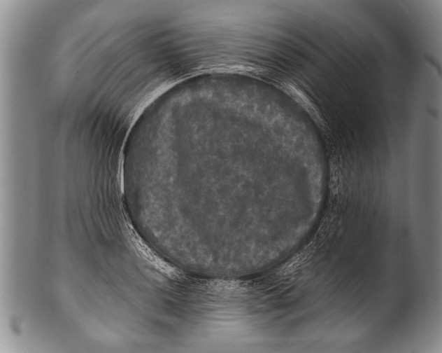 X0000100311036200806261157