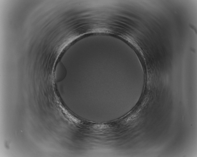 X0000100311037200806261157